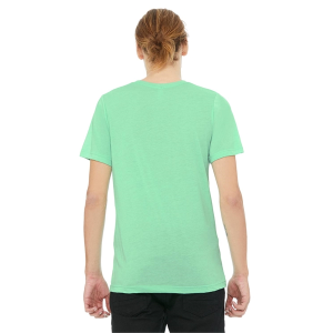 Bella+Canvas Unisex Triblend T-Shirt