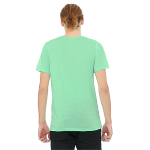 Bella+Canvas Unisex Triblend T-Shirt